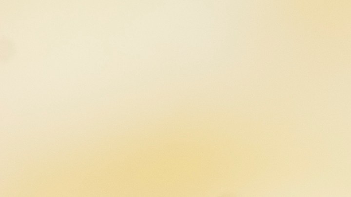 Así debes eliminar los gusanos blancos en tu cocina y cómo evitar que aparezcan.