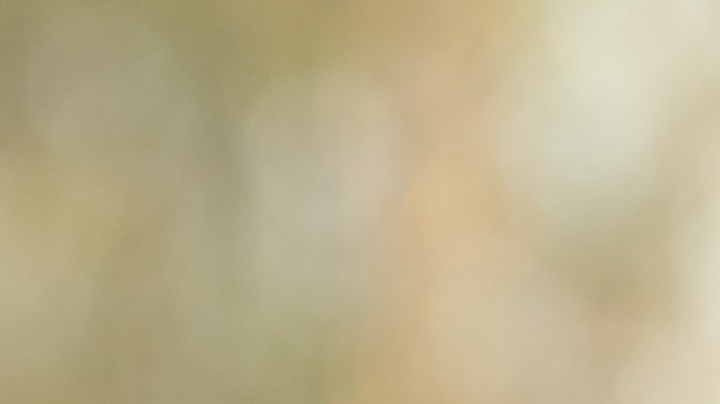 La razón por la que duele más que te sean infiel con alguien más joven que tú.