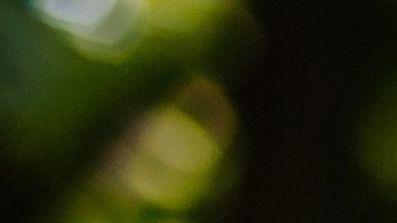 Qué puedo hacer si mi hijo rechaza a su abuela.