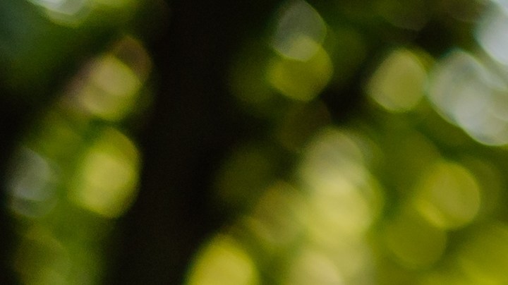 Qué puedo hacer si mi hijo rechaza a su abuela.