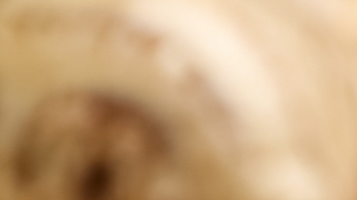 Cuán efectivo es que la miel y jengibre eleven tu deseo sexual.