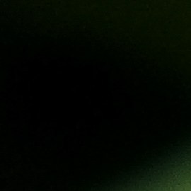 Las 10 enfermedades que pueden causar las moscas.