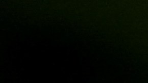 Las 10 enfermedades que pueden causar las moscas.