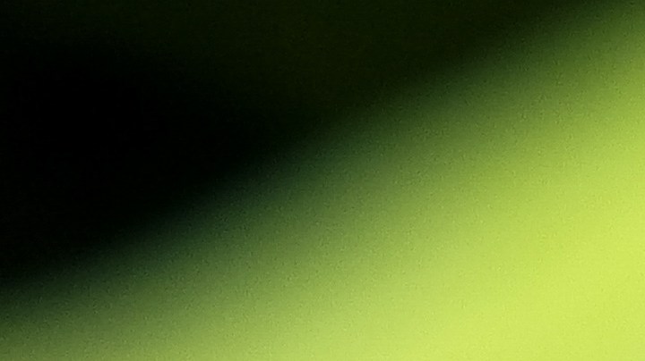 Las 10 enfermedades que pueden causar las moscas.