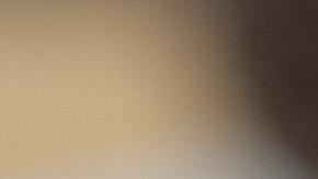 sustitutos naturales del azúcar