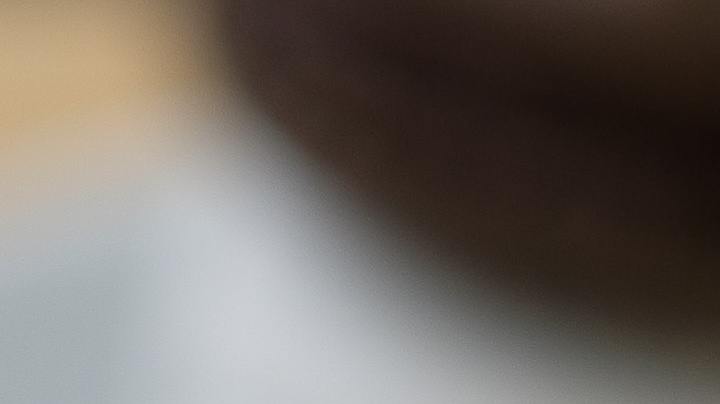 sustitutos naturales del azúcar