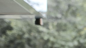 Lemonies brownies de pie de limón