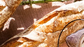 errores comunes manipular la comida