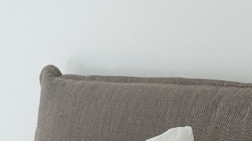 Cómo limpiar tus almohadas