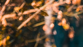 estación favorita del año personalidad