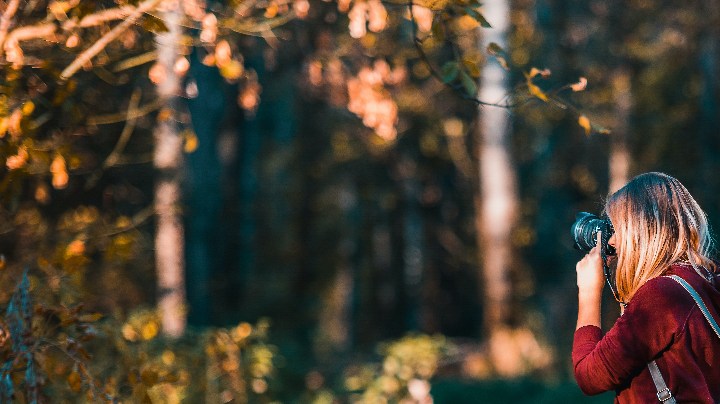 estación favorita del año personalidad