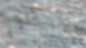 enfermedades transmitidas por garrapatas