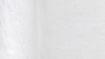 plantas mejorar la calidad del aire