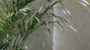 soñar con la escuela