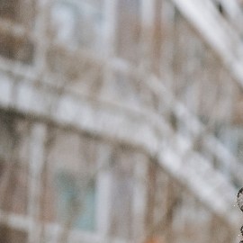 nunca deberías tolerar en una relación