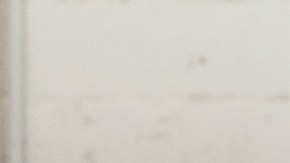 intestino con bacterias dañinas