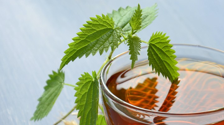 infusiones naturales gastritis