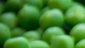 alimentos ricos en fibra