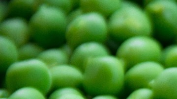 alimentos ricos en fibra