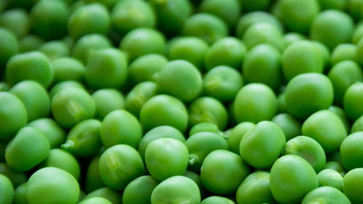 alimentos ricos en fibra