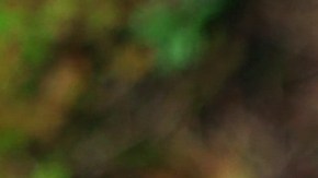 Endulzar tus manos con azúcar y canela