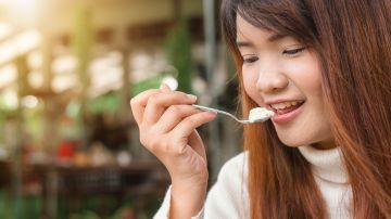 alimentos probióticos