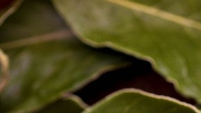 Té de laurel en ayunas