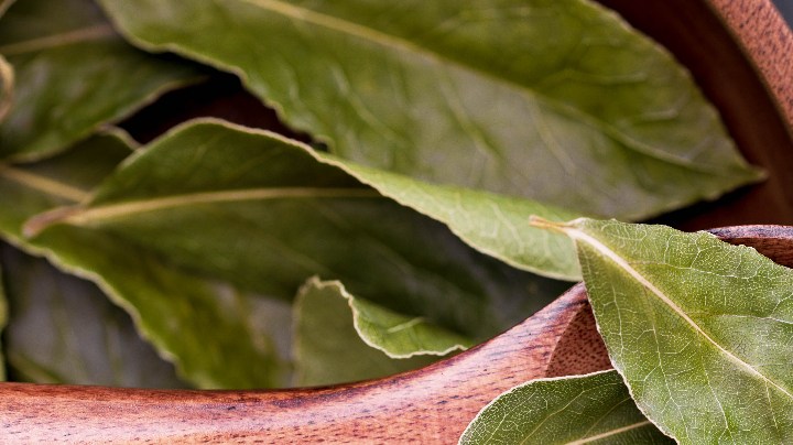 La mezcla de laurel y bicarbonato es una solución natural, económica y accesible.