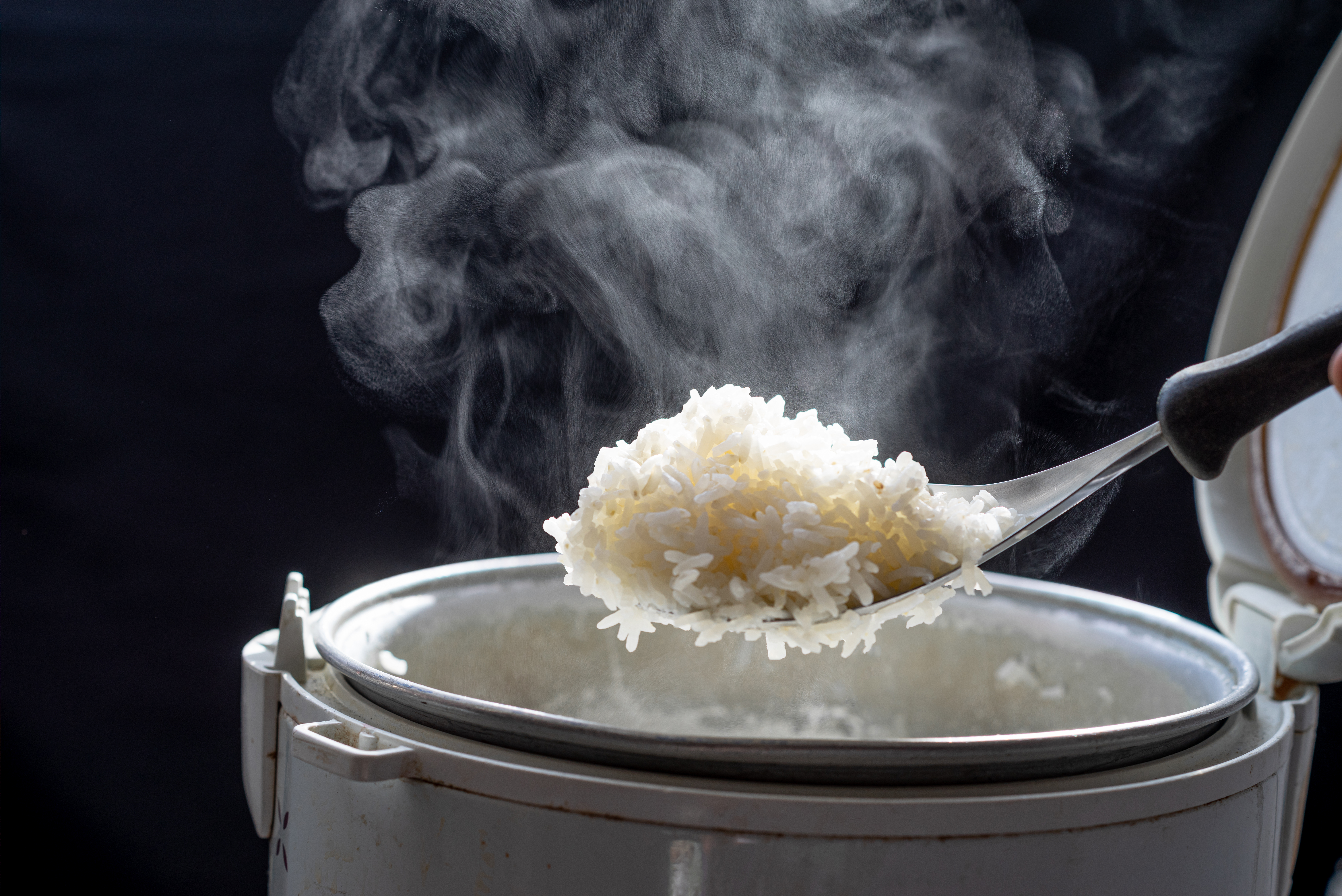 Las peligrosas razones por las que nunca debes comer arroz recalentado.