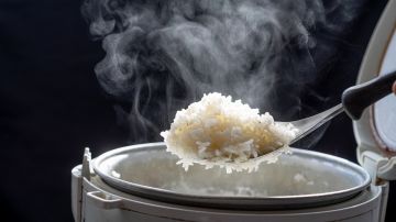 Las peligrosas razones por las que nunca debes comer arroz recalentado.