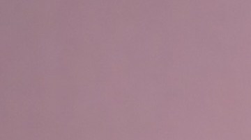 Por qué las mujeres divorciadas o solteras son más saludables que las casadas.