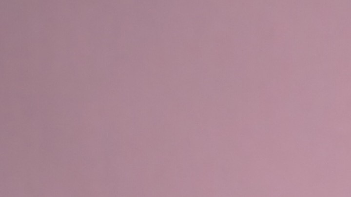 Por qué las mujeres divorciadas o solteras son más saludables que las casadas.