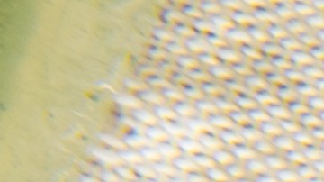 Cómo hacer una mascarilla de sandía y miel para eliminar las arrugas.