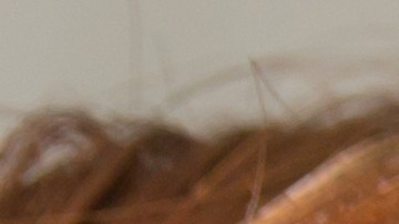 Tips para que tu tinte dure más en el cabello y no sufra.