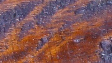 Cuáles son los alimentos que afectan tu vejiga y tus ganas de orinar.