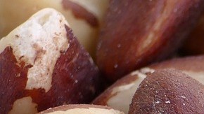 nueces de Brasil al día