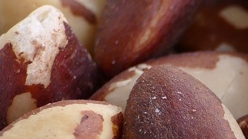 nueces de Brasil al día