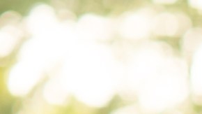 Qué tipo de ejercicio es más efectivo para perder peso: correr o caminar.