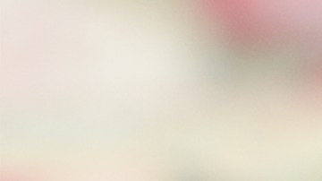 Cómo hacer una crema exfoliante de arroz casera para tu rostro.