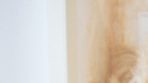 Día mundial del Alzheimer