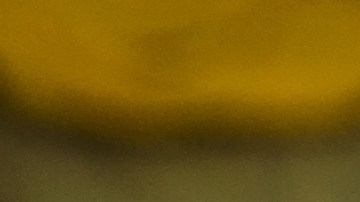 Por qué no deberías colocar la pastilla de detergente al fondo del lavavajillas.