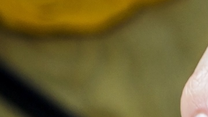 Por qué no deberías colocar la pastilla de detergente al fondo del lavavajillas.