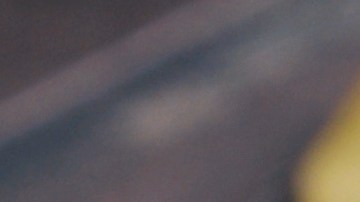 Cuáles son las especies que reducen los síntomas de ansiedad y estrés.