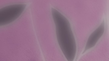 Qué hago si mi bebé no me deja tener intimidad con mi pareja.