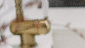 Vibriosis Cómo evitar