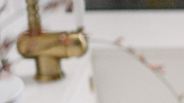 Vibriosis Cómo evitar