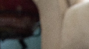 perros que no deberían ser tu primera opción