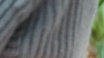 objetos extraviados por familiares con demencia