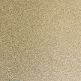 riesgos para la salud de tener alfombra