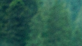 protegerte de la exposición PFAS